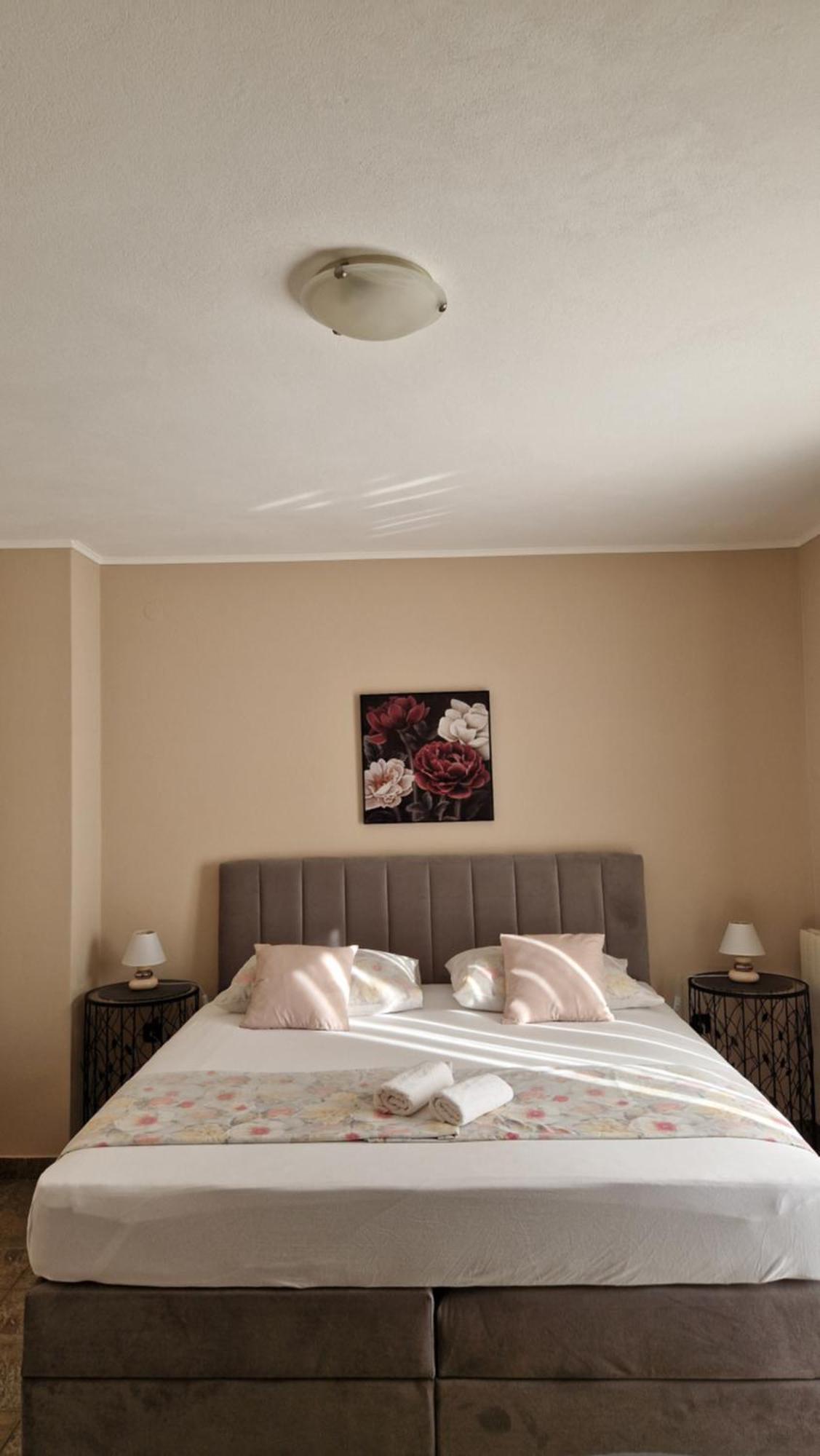 Cosy Near The